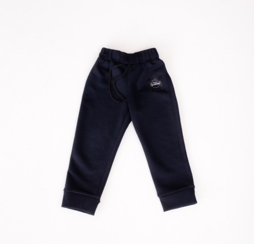 Брюки спортивные База-реглан, темно-синий